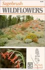 Sagebrush Wildflowers