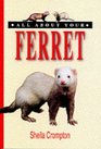 All About Your Ferret