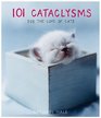 101 Cataclysms : For the Love of Cats