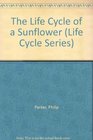 The Life Cycle of a Sunflower