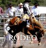 Rodeo  Western Riding