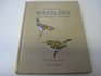 Guide to the Warblers of the Western Palearctic