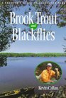 Brook Trout and Blackflies A Paddler's Guide to Algonquin Park