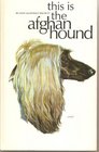 This Is the Afghan Hound