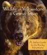 Rocky Mountain Wildlife of Yellowstone and Grand Teton National Parks