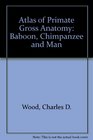 An Atlas of Primate Gross Anatomy