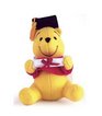 Graduation Pooh