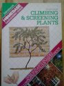 Climbing  Screening Plants