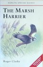 The Marsh Harrier
