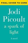 A Spark of Light A Novel