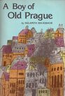 A Boy of Old Prague