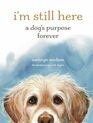 I'm Still Here A Dog's Purpose Forever