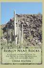Really Neat Rocks A casual introduction to the rocks  gems of Arizona and the lapidary arts