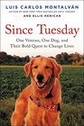 Since Tuesday One Veteran One Dog and Their Bold Quest to Change Lives