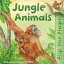 Jungle Animals Jinny Johnson and Nicki Palin