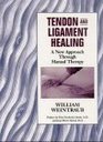 Tendon and Ligament Healing A New Approach Through Manual Therapy