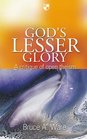 God's Lesser Glory A Critique of Open Theism