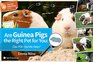 Are Guinea Pigs the Right Pet For You Can YOU Find the Facts