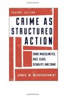 Crime as Structured Action Doing Masculinities Race Class Sexuality and Crime