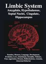 Limbic System Amygdala Hippocampus Hypothalamus Septal Nuclei Cingulate Emotion Memory Sexuality Language Dreams Hallucinations Unconscious Mind