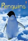 Penguins (Usborne Beginners)