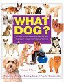 What Dog A Guide to Help New Owners Select the Right Breed for Their Lifestyle