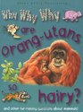 Why Why Why Do Orangutans Live in Trees