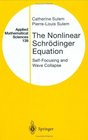 Nonlinear Schroedinger Equations SelfFocusing and Wave Collapse