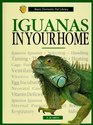 Iguanas in Your Home A Complete and UpToDate Guide