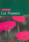 Caring for Cut Flowers