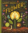 What's Inside A Flower And Other Questions About Science  Nature
