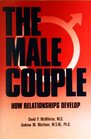 The Male Couple  How Relationships Develop