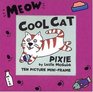 Cool Cat Pixie