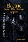Electric Power Distribution Systems A Nontechnical Guide