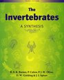 The Invertebrates A Synthesis