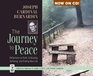 The Journey to Peace Reflections on Faith Embracing Suffering and Finding New Life