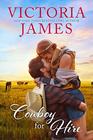 Cowboy for Hire (Wishing River, Bk 2)