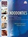 Endodontics Principles and Practice