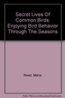 Secret Lives Of Common Birds Enjoying Bird Behavior Through The Seasons
