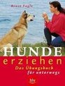 Hunde erziehen das Ubungsbuch fur unterwegs