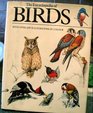 Encyclopaedia of Birds