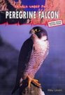 Animals under Threat Peregrine Falcon