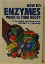 How Do Enzymes Work in Your Body