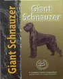 Giant Schnauzer