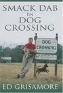 Smack Dab in Dog Crossing