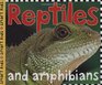 Reptiles and Amphibians (Smart Kids)