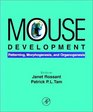 Mouse Development Patterning Morphogenesis and Organogenesis