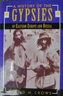 A History of the Gypsies of Eastern Europe and Russia