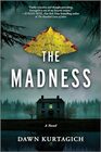 The Madness A Novel