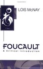 Foucault A Critical Introduction